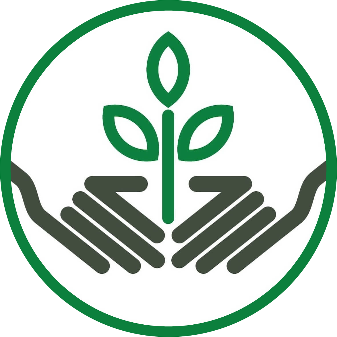 tree logo